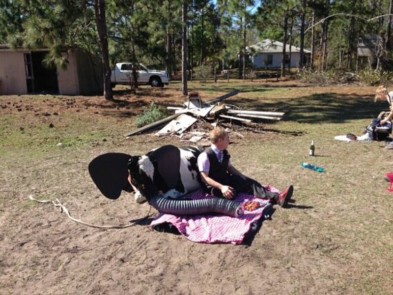 galleries/2013/02/03/rebel-wilson-miley-cyrus-more-celebrity-twitter-pictures-photos/130203-twitpics-penn-jilette_fy8rpi