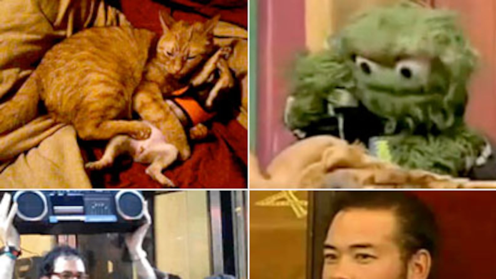 articles/2009/11/06/the-week-in-viral-videos-3/viral-video-4_61312_fpmohe