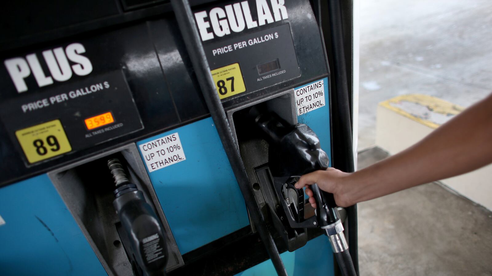 articles/2014/04/27/the-federal-government-has-violated-my-right-to-chainsaw/140425-orourke-tease_ikpwkp