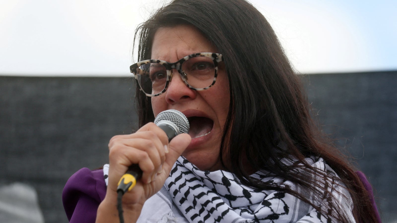 Rep. Rashida Tlaib