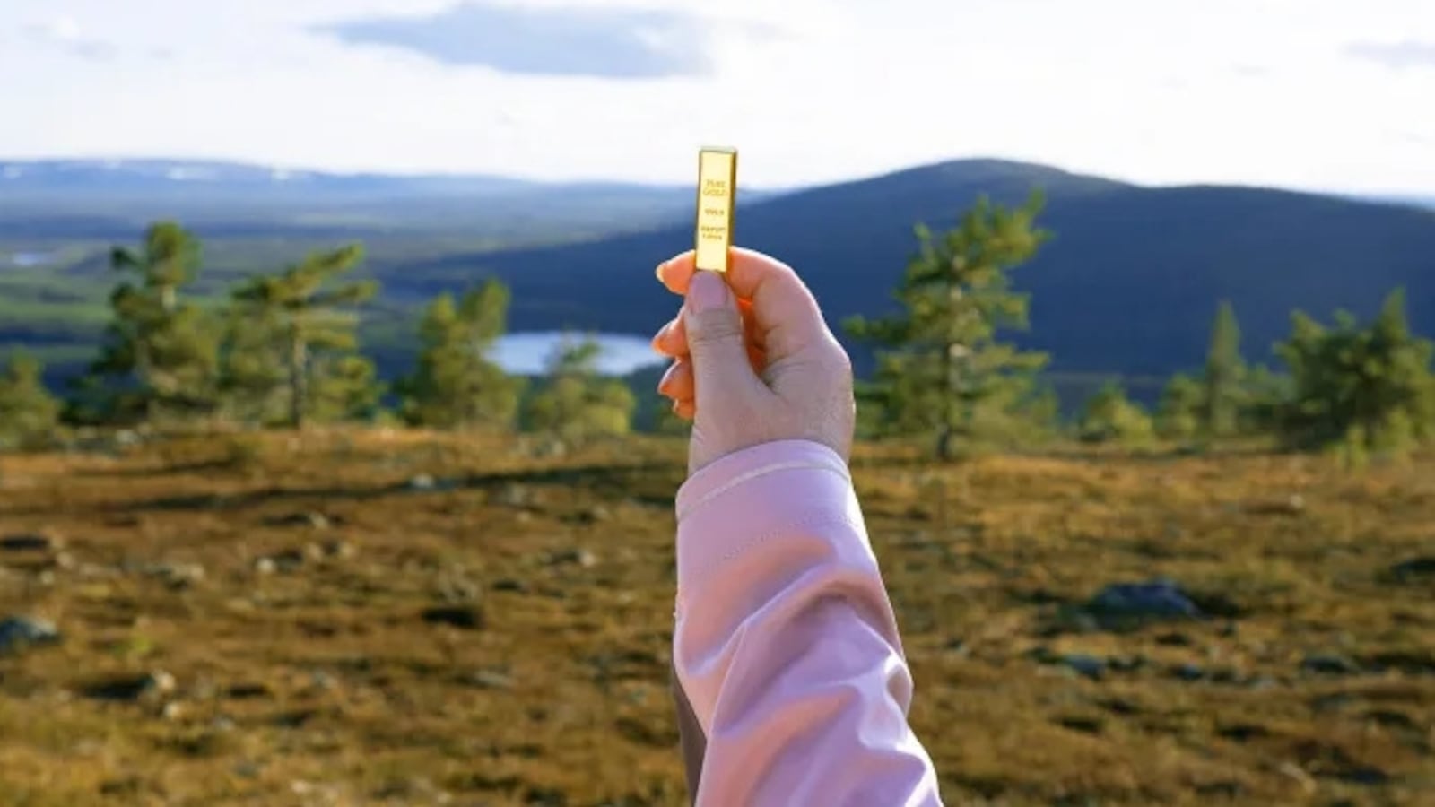 Gold hunters will be searching for this bar, worth $23,300.