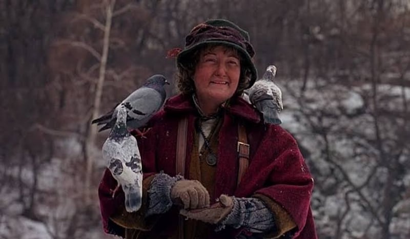 Pigeon Lady