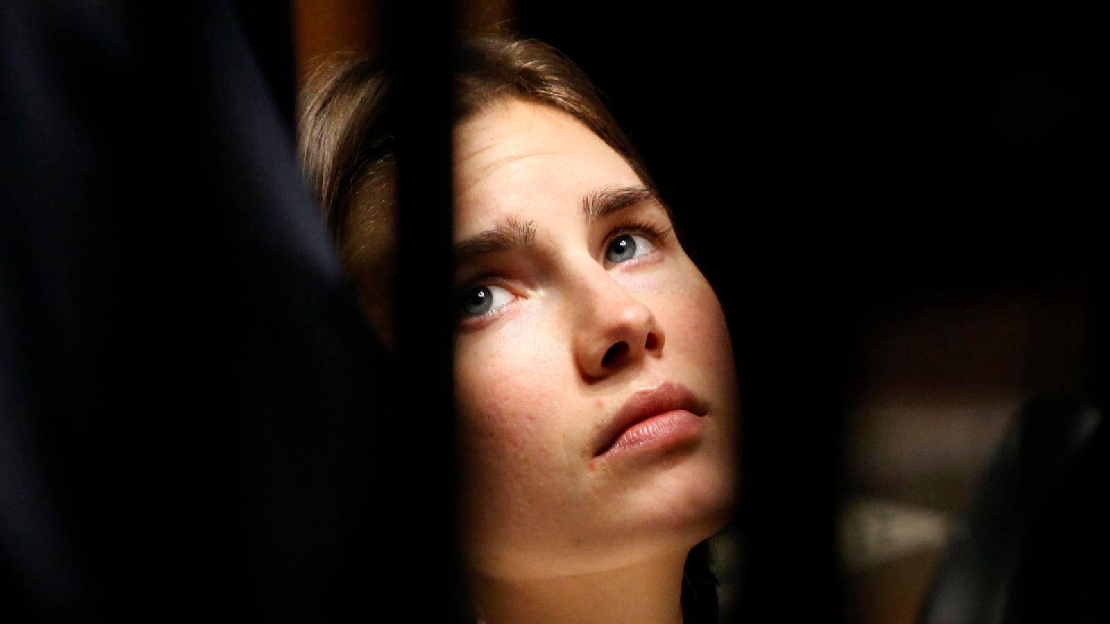 articles/2014/11/26/amanda-knox-a-mother-s-obsession/141125-Darnton-knox-tease_cmlxrp