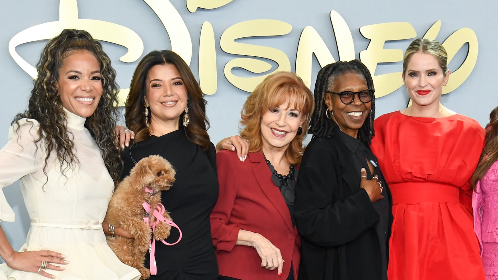 Sunny Hostin, Ana Navarro, Joy Behar, Whoopi Goldberg, Sara Haines, and Alyssa Farah Griffin of "The View" at the Disney 2026 Upfront Red Carpet, held at the North Javits Center on May 12, 2026, in New York, New York.