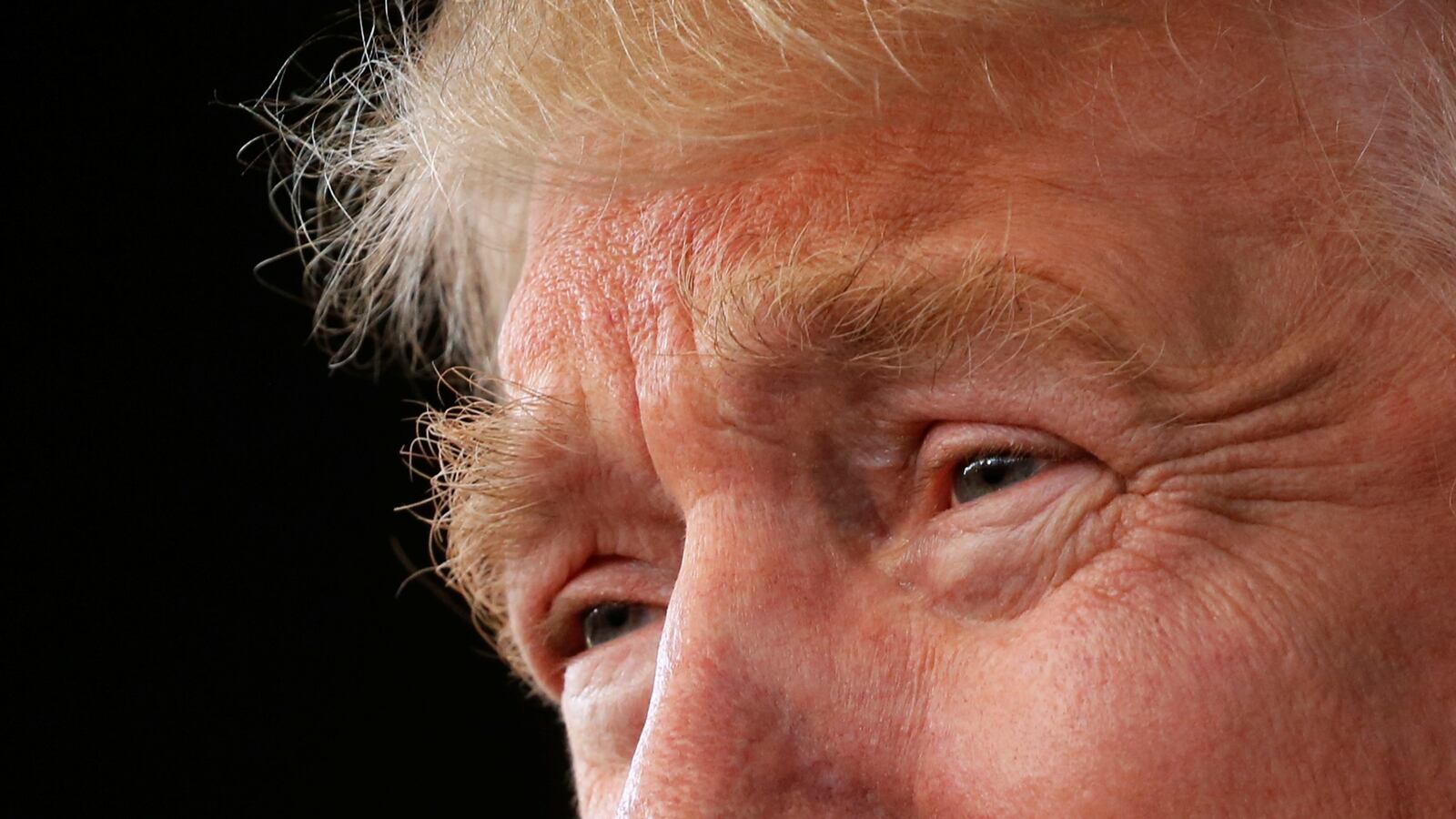 cheats/2016/10/25/scrapped-trump-cartoon-images-released/161025-trump-cartoons-cheat_wjzptm