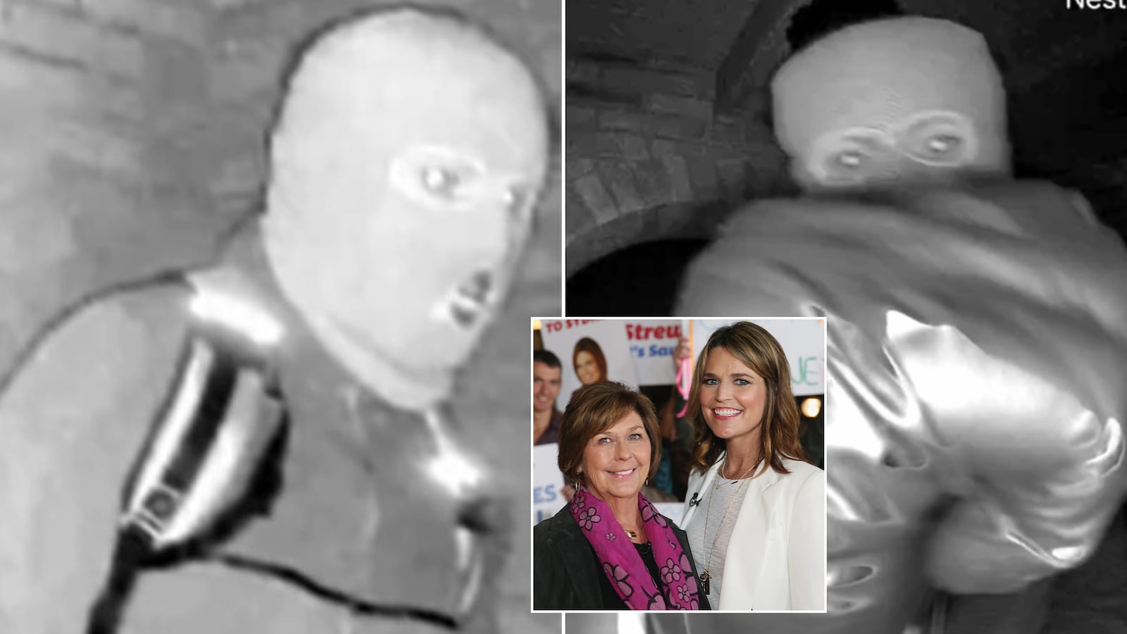 Nancy Guthrie suspect