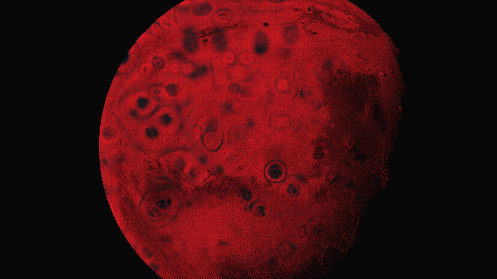 101122-benders-mars-hero_bhgup6