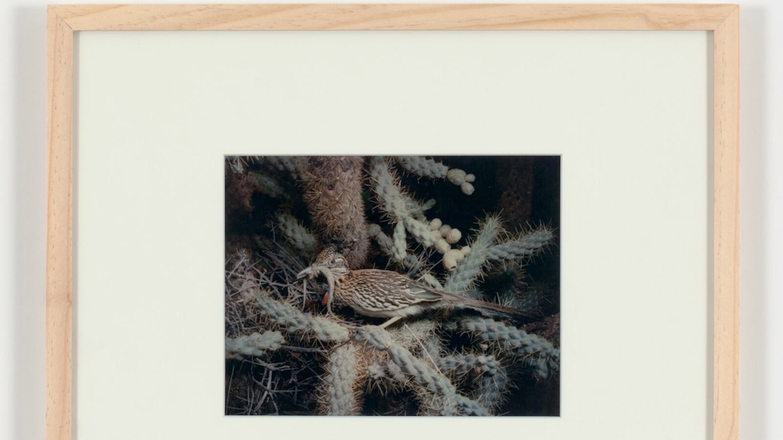 articles/2013/07/11/eliot-porter-at-paula-cooper-is-the-daily-pic-by-blake-gopnik/porter-daily-pic_hjhwsu