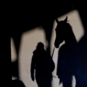 A horse walks on Churchill Downs' backside Wednesday morning