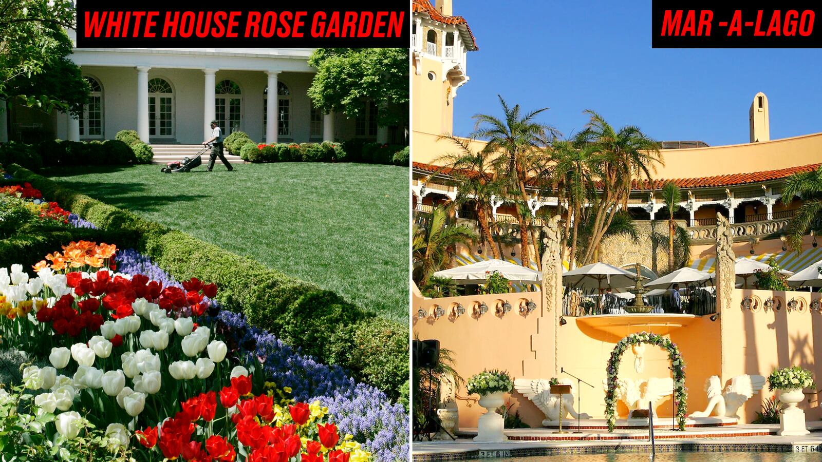 Rose Garde/ Mar-a-Lago split