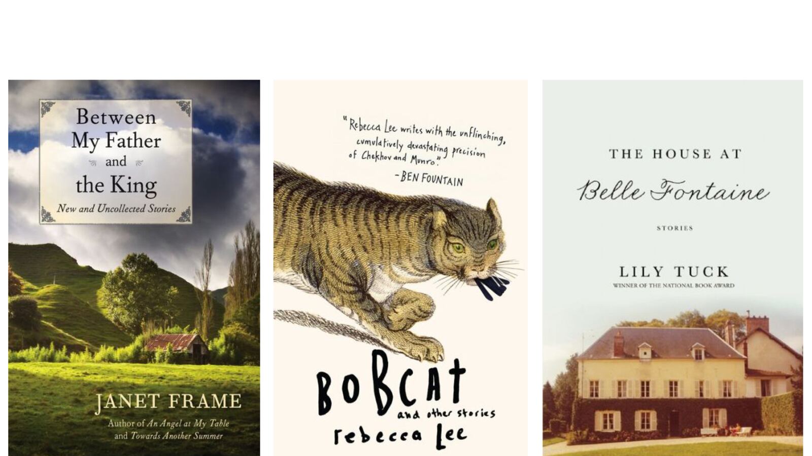 articles/2013/05/24/happy-short-story-month-three-new-must-read-collections/130523-shortstories-tease_w1zzmc