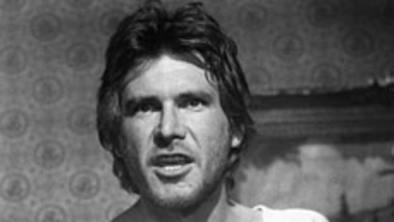 galleries/2008/12/10/the-return-of-chest-hair/chest-hair---ford_ds5v1q