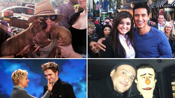 galleries/2011/11/20/rob-pattinson-regis-philbin-and-more-celebrity-twitter-pictures-photos/celeb-twit-pics-gal-tease_lft8es