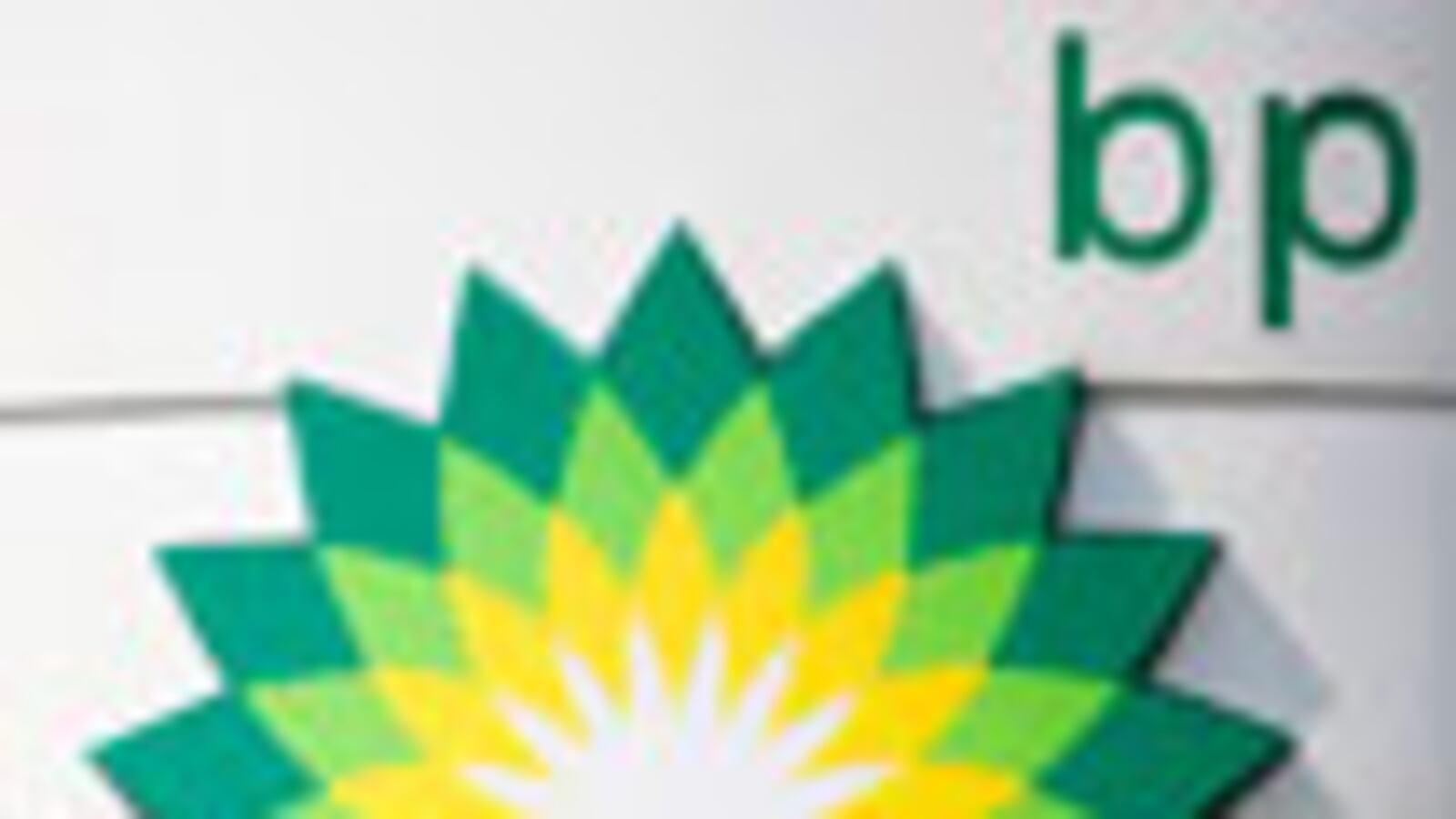 cheats/2010/05/05/bp-caps-first-oil-leak/bp-oil-spill_qdnemp
