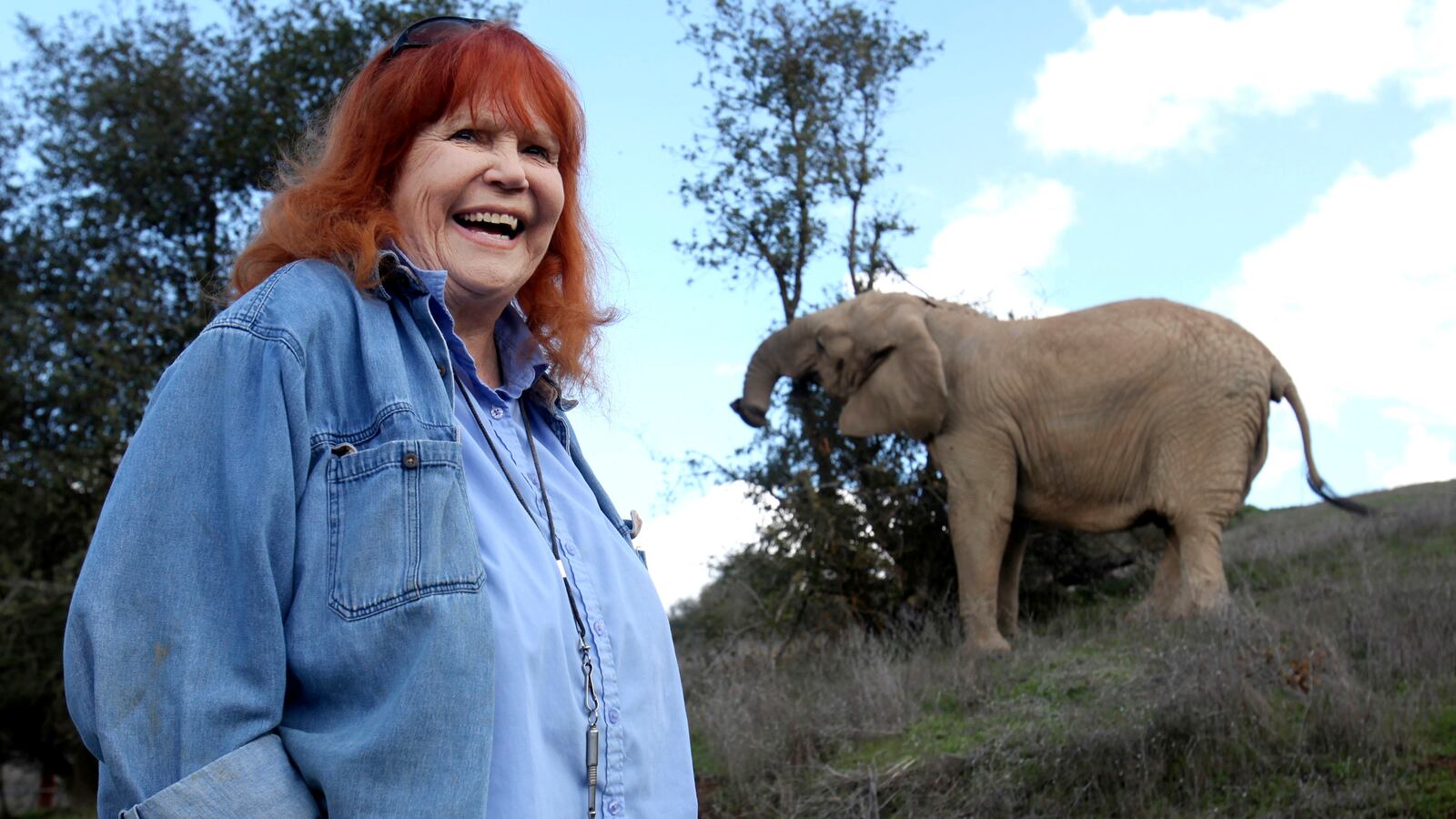 cheats/2013/02/19/lassie-and-flipper-trainer-dies/130219-pat-derby-obit-cheat_qdanql