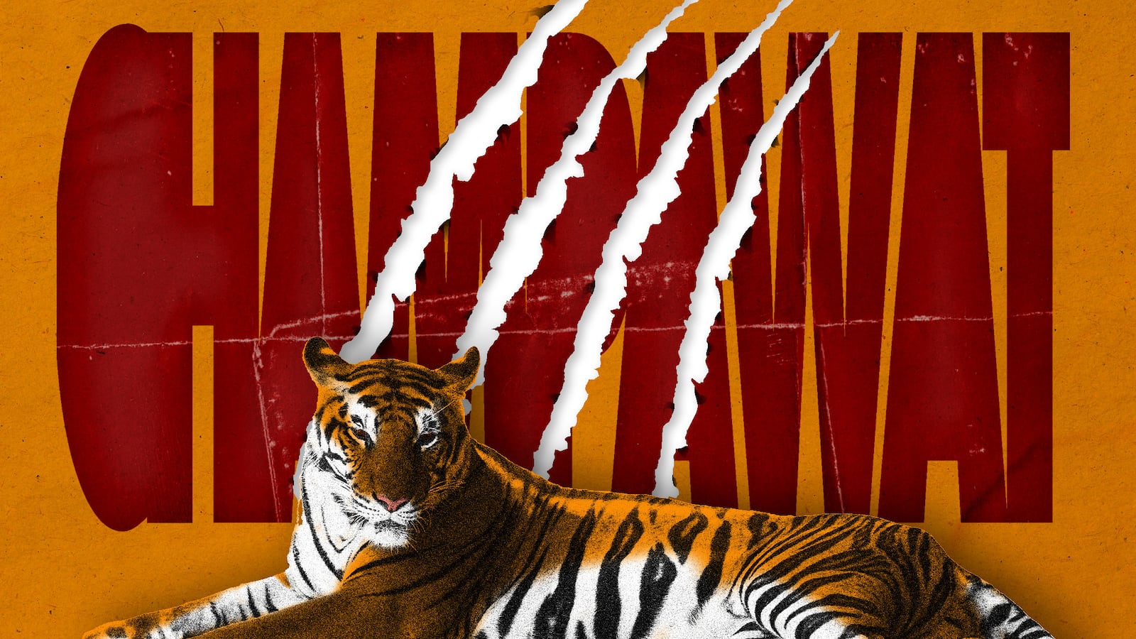 190210-Huckelbridge-Champawat-tiger-hero_jj2ydw