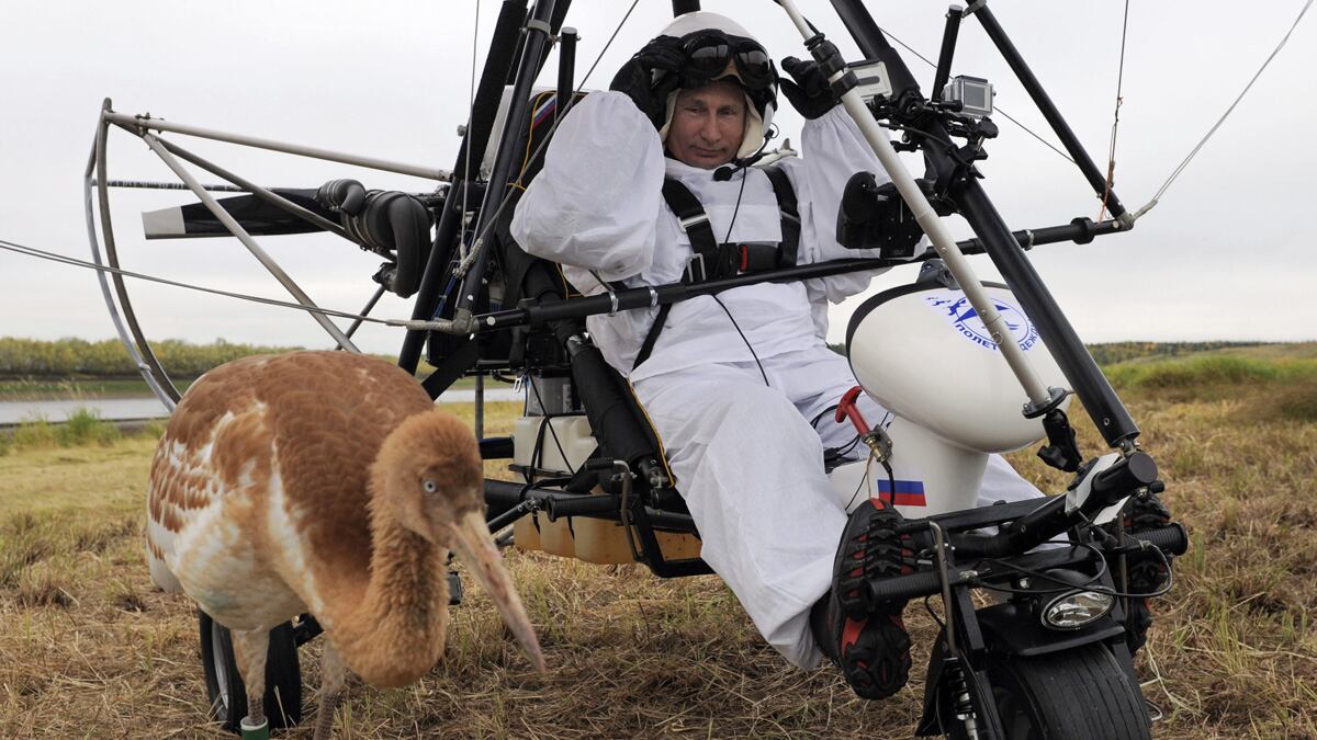 cheats/2012/09/06/putin-to-fly-with-flock-of-cranes/putin-fly-crane-siberia-cheat_ujh0e1