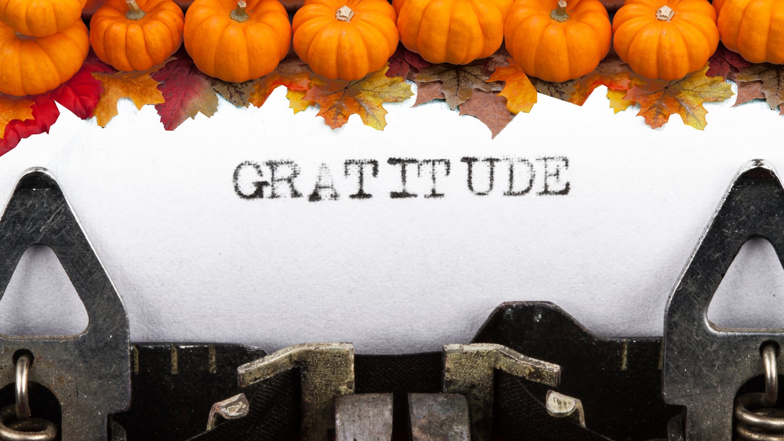 articles/2015/11/26/why-thanksgiving-matters-it-s-not-about-the-turkey/151125-cox-gratitude-thanksgiving-tease_o6xomj