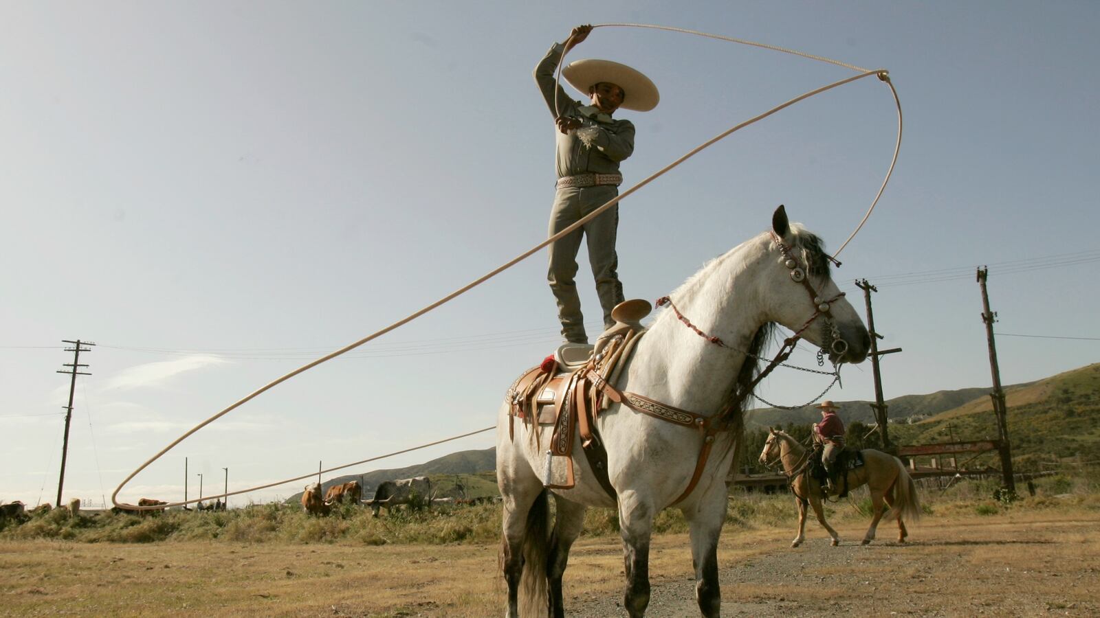 cheats/2016/06/11/cowboy-lassos-thief-in-wal-mart-parking-lot/160611-walmart-cowboy-thief-cheat_hraogc