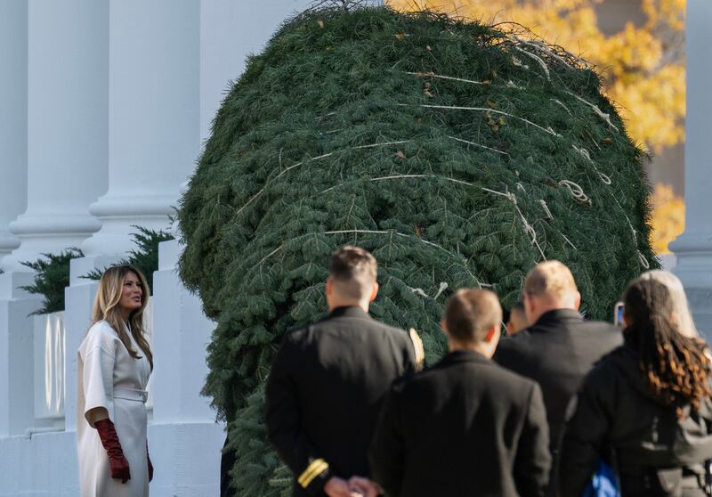 Delivery of the tree
