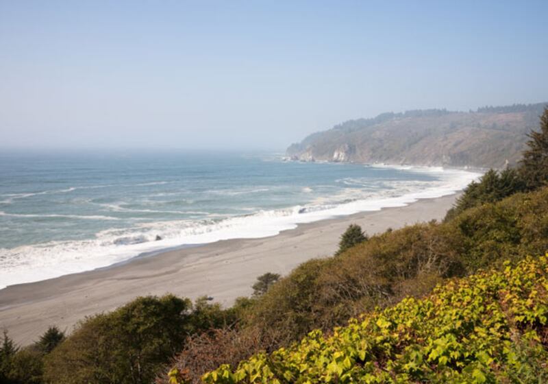 galleries/2011/04/19/pot-capitals-2011/pot-smoking-cities---eureka_koo1ep