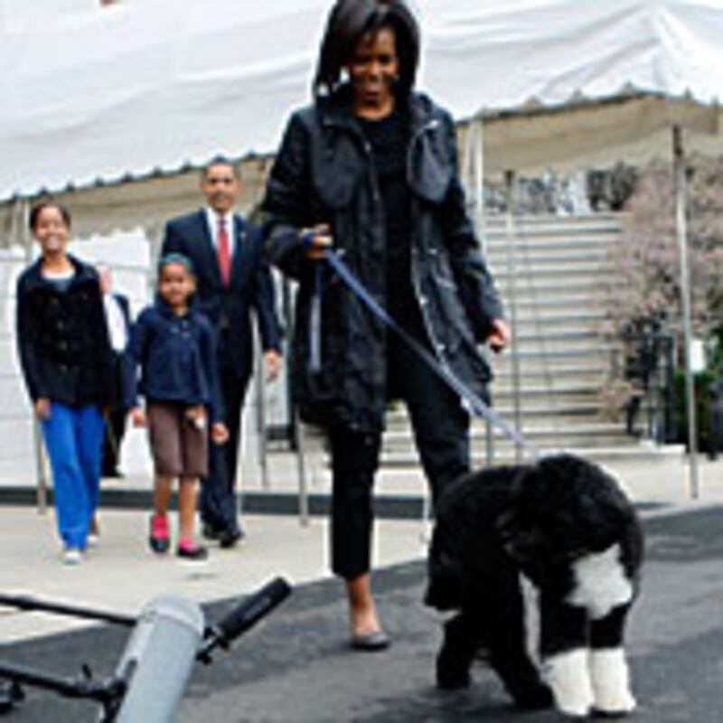 articles/2009/04/19/inside-the-obama-family-pr-machine/wolffe-obama_22987_zjdikl
