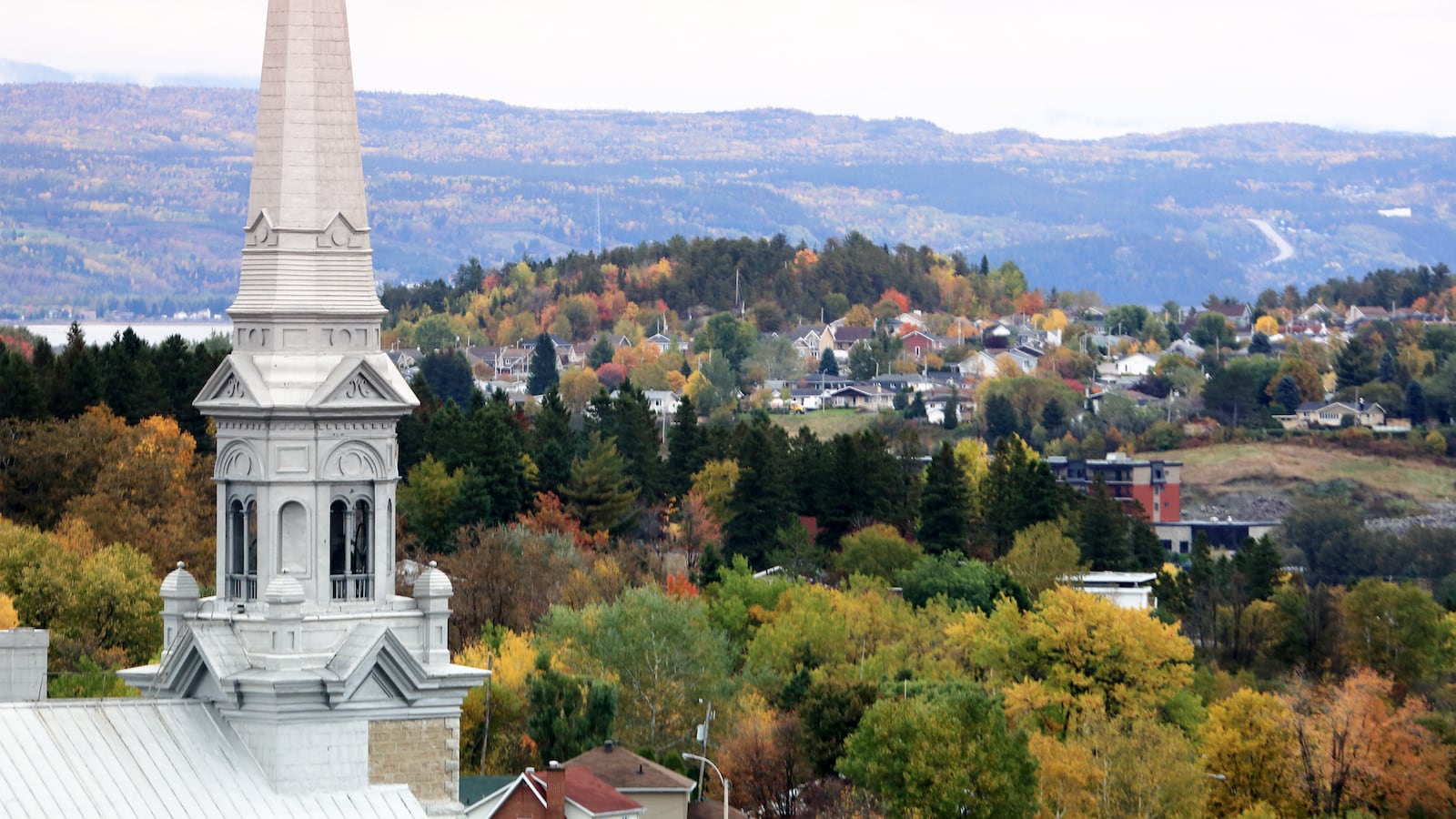 191104-withrow-blueberry-tease-2_mx8rug