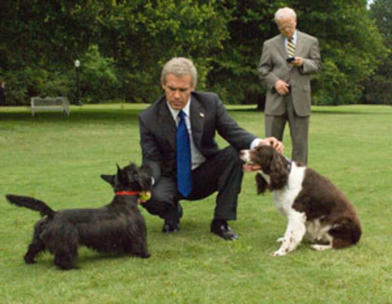 articles/2008/10/17/my-w-and-oliver-stones/horton-mcclellan_eqrp24