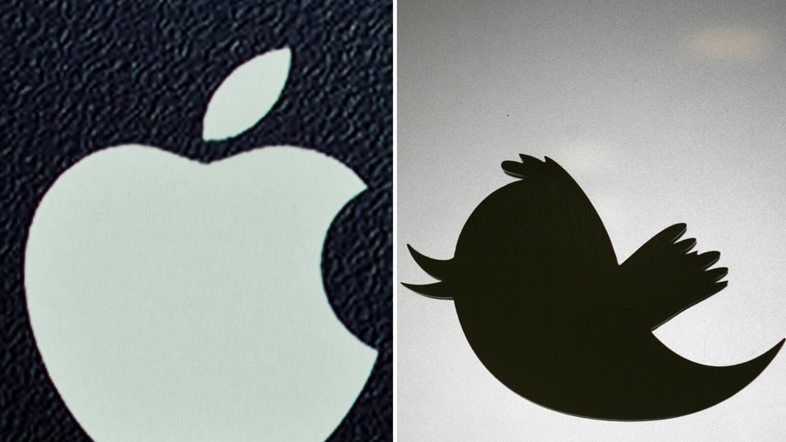 cheats/2012/07/28/apple-might-invest-in-twitter/twitter-apple-invest-cheat_qtnual