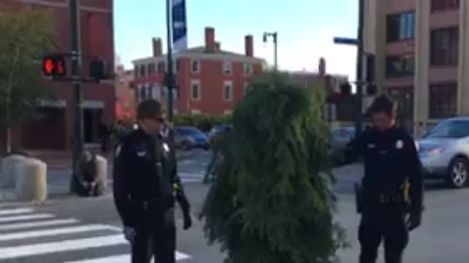 cheats/2016/10/25/man-dressed-as-a-tree-arrested-for-blocking-traffic/161024-maine-tree-man-arrest-cheat_nzzbvz