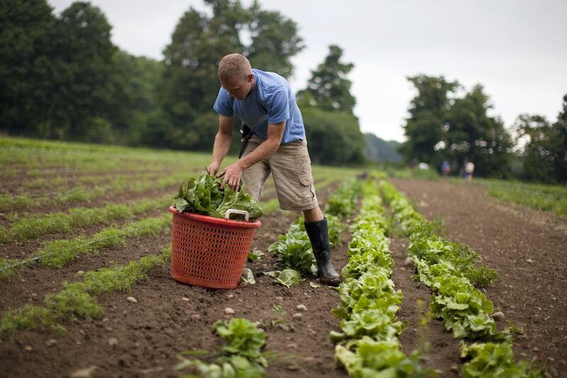 articles/2013/04/18/big-idea-farming-treats-cancer/130411-farmacology-book-tease_gjtwyb