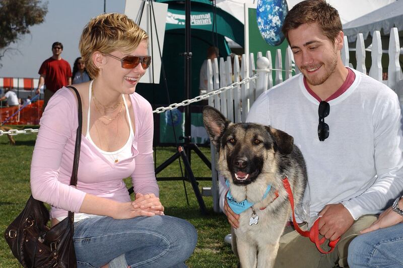 galleries/2012/08/05/kristen-stewart-robert-pattinson-more-pet-custody-battles-photos/animal-custody-battle-gyllenhaal-dunst_jb1cbb