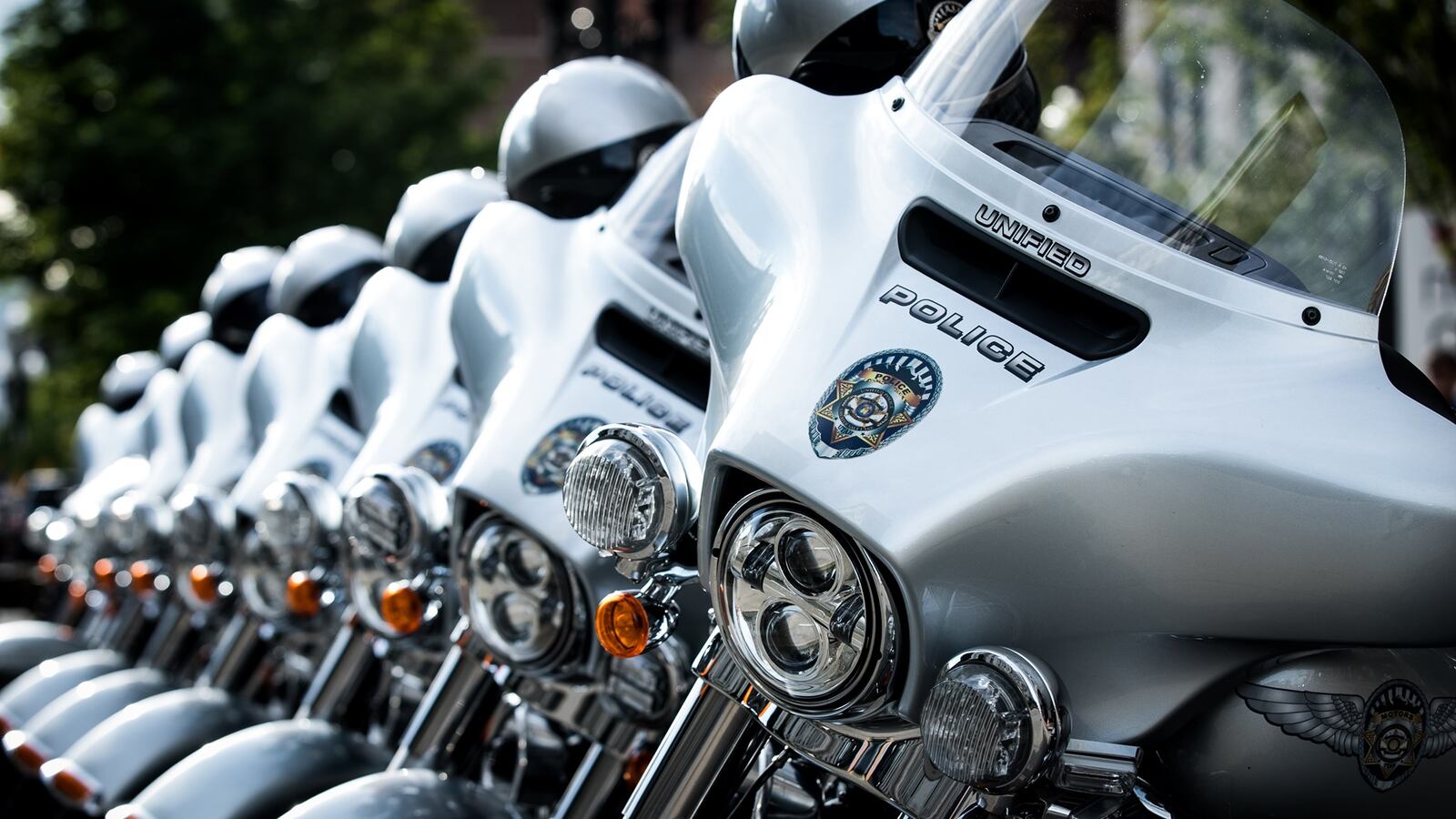 97305593_10158420250637700_3305715312732667904_n_a1z2td