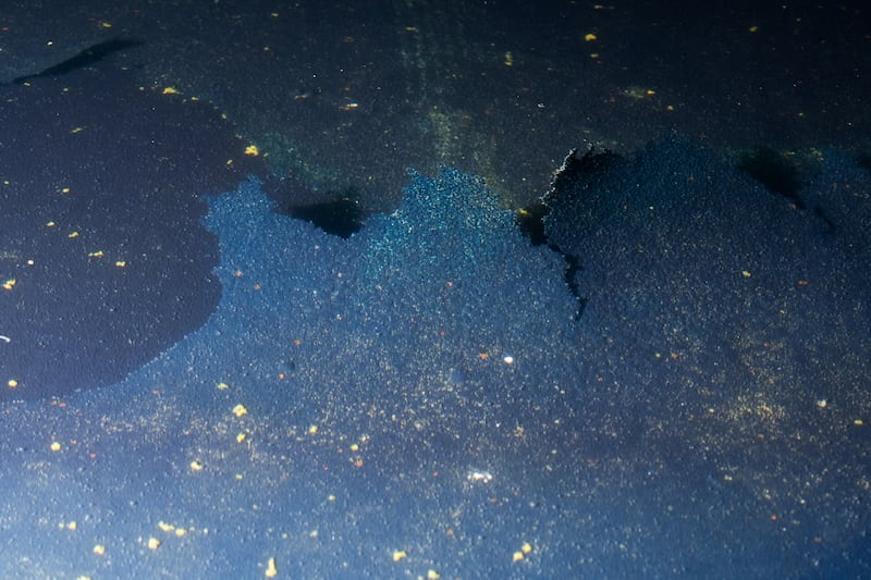 Chipped paint and algae are visible in the Lincoln Memorial Reflecting Pool, after recent renovations following a directive from U.S. President Donald Trump to paint it blue ahead of the 250th anniversary of U.S. Independence, in Washington, D.C., U.S., June 21, 2026.