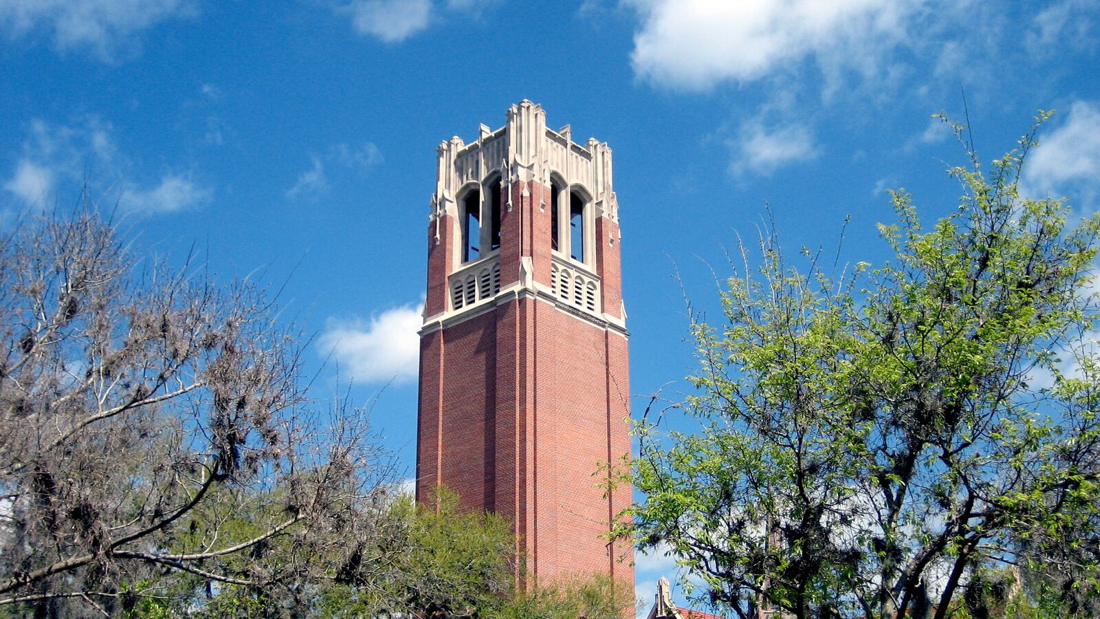 Century_Tower__University_of_Florida_fkjbzv