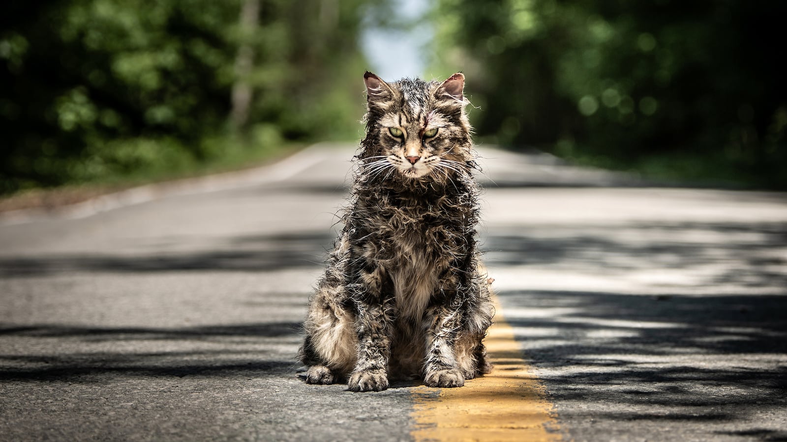 190404-schager-pet-sematary-tease-3_1_n5nrbf