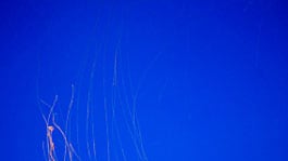 cheats/2008/10/08/jellyfish-under-the-skin/jellyfish-1008_ig7w8s