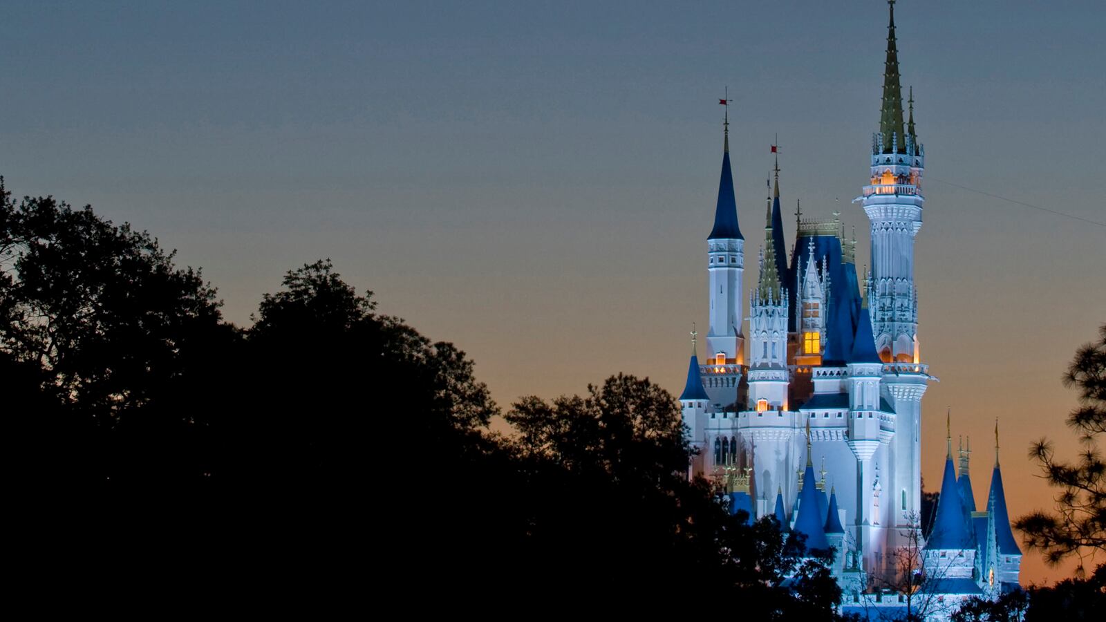 cheats/2014/07/15/theme-park-child-sex-sting-nabs-dozens/140715-disney-sex-abuse-cheat_lzu2ko