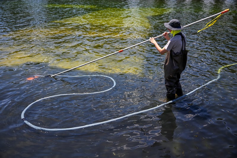 U.S. National Park Service employee works to remove algae in the Lincoln Memorial Reflecting Pool after recent renovations following a directive from U.S. President Donald Trump to paint it blue ahead of the 250th anniversary of U.S. independence, in Washington, D.C., U.S., June 20, 2026.