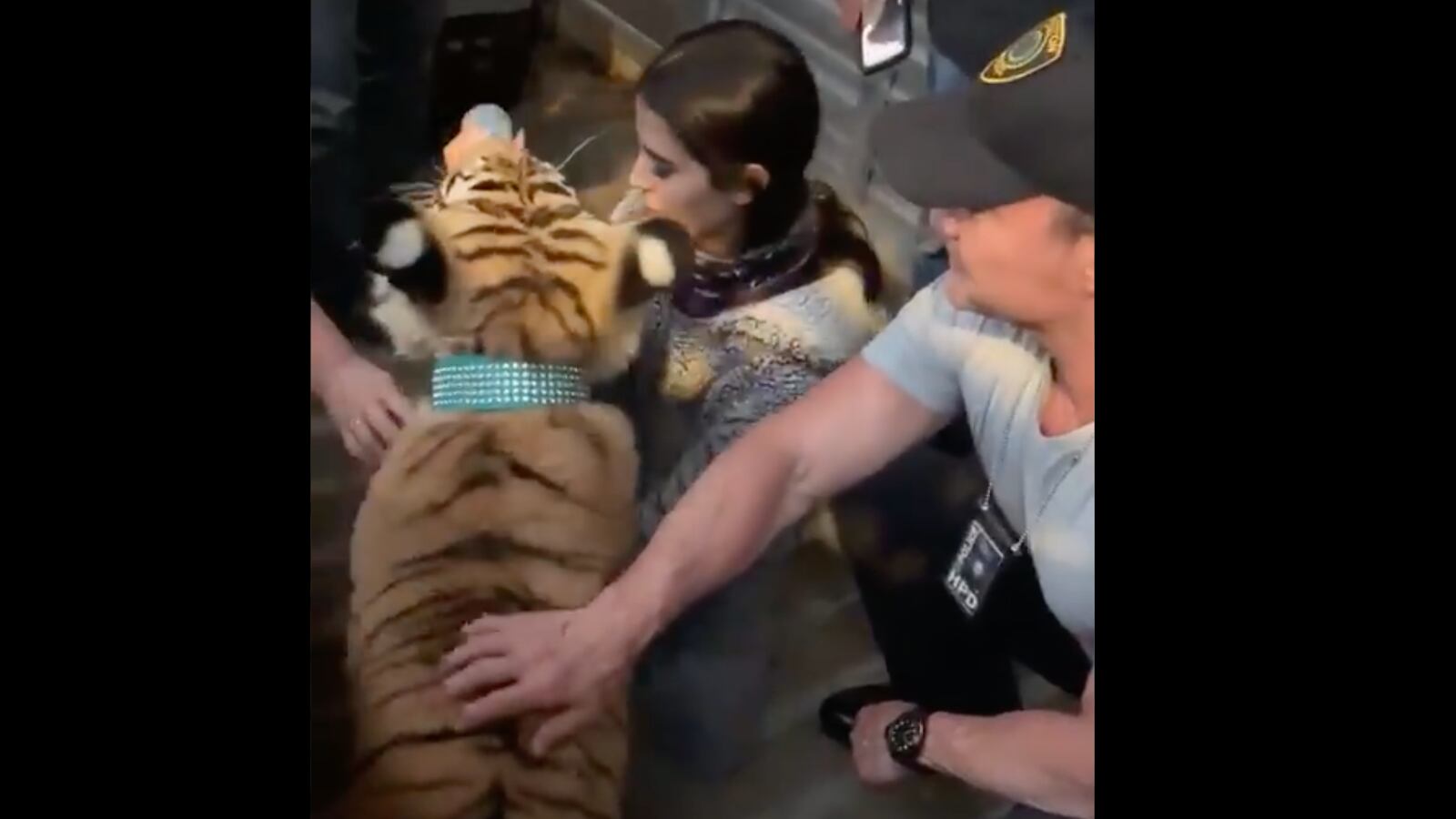 Screen_Shot_2021-05-15_at_10.54.50_PM_moc70s