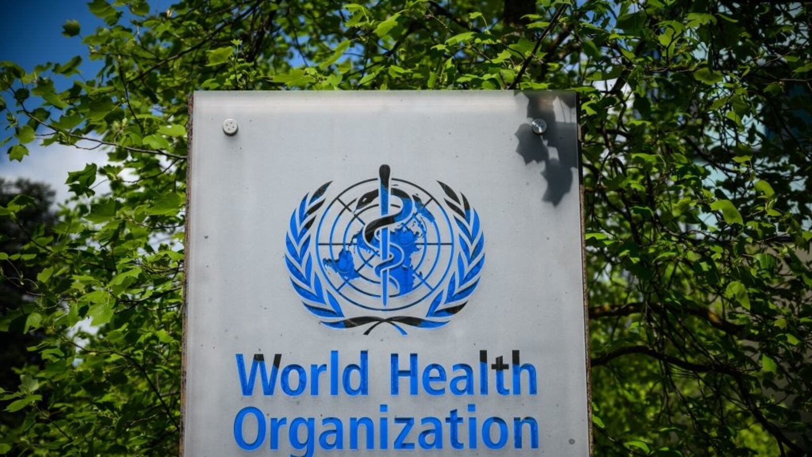 GettyImages-1210872966_ugxiga