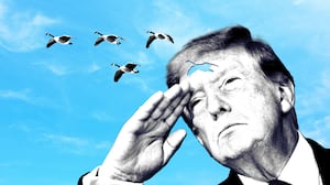 Donald Trump saluting a flock of geese