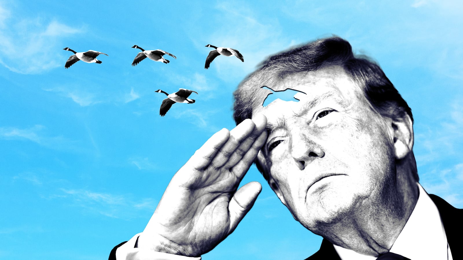 Donald Trump saluting a flock of geese