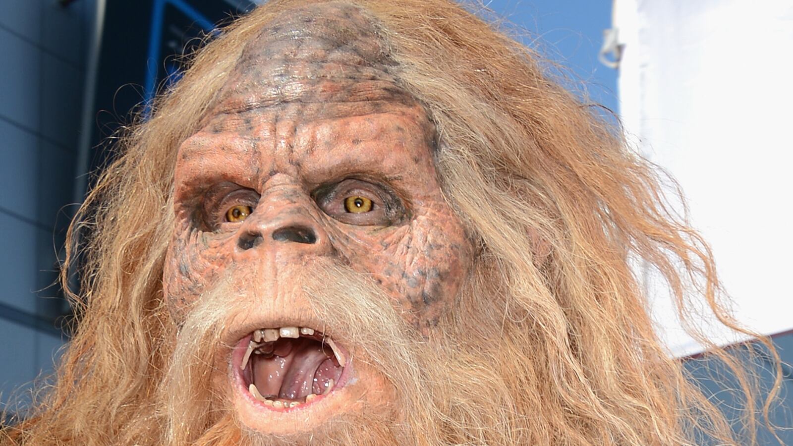 cheats/2014/07/02/dna-tests-bigfoot-just-another-animal/140702-bigfoot-cheat_bzxxfz