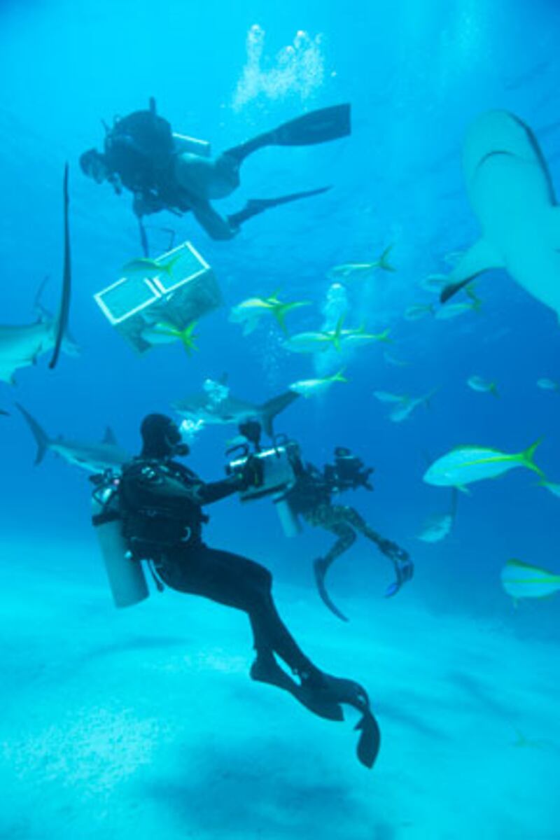 galleries/2010/06/29/shark-week/shark-week---10_ypjasa