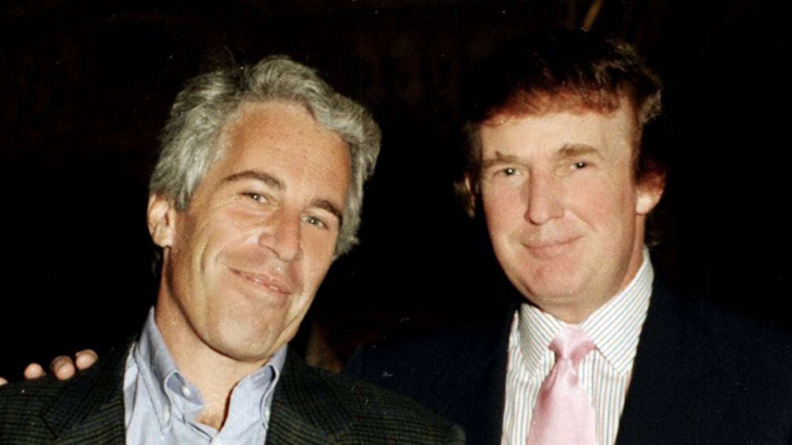 Donald Trump and Jeffrey Epstein were photographed side by side in a photo posted by democrats on X for 'National Best Friends Day.'