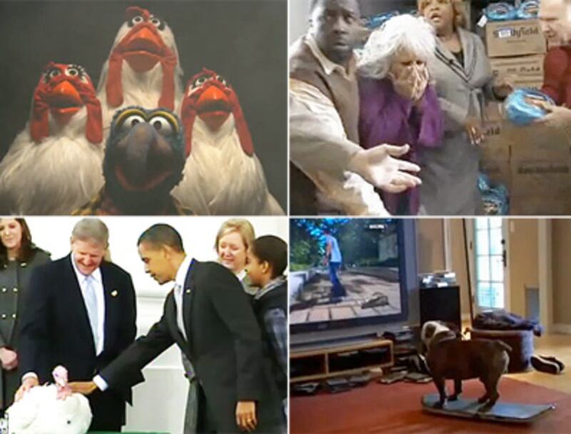 articles/2009/11/27/november-28-the-week-in-viral-video/viral-videos-1126_65678_qanj1j