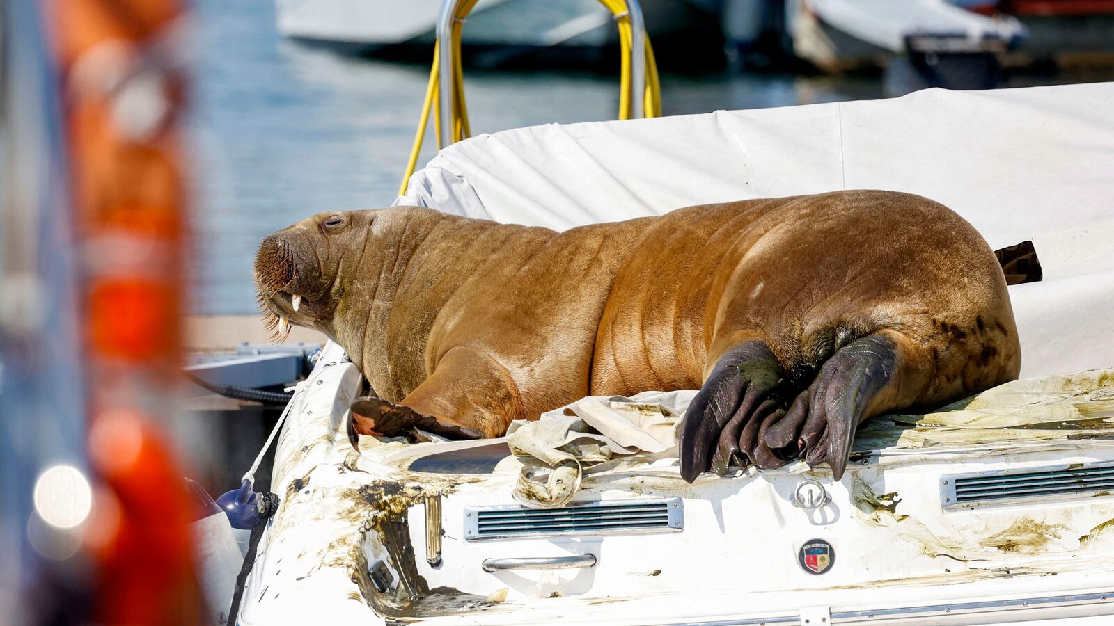 GettyImages-1242108773_c3lruo