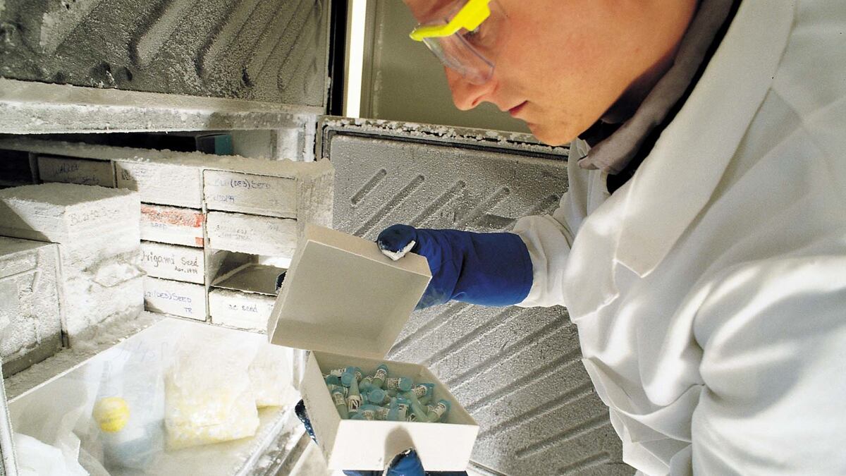 cheats/2011/11/25/german-drugmaker-battles-facebook/merck-cheat_tdebuf