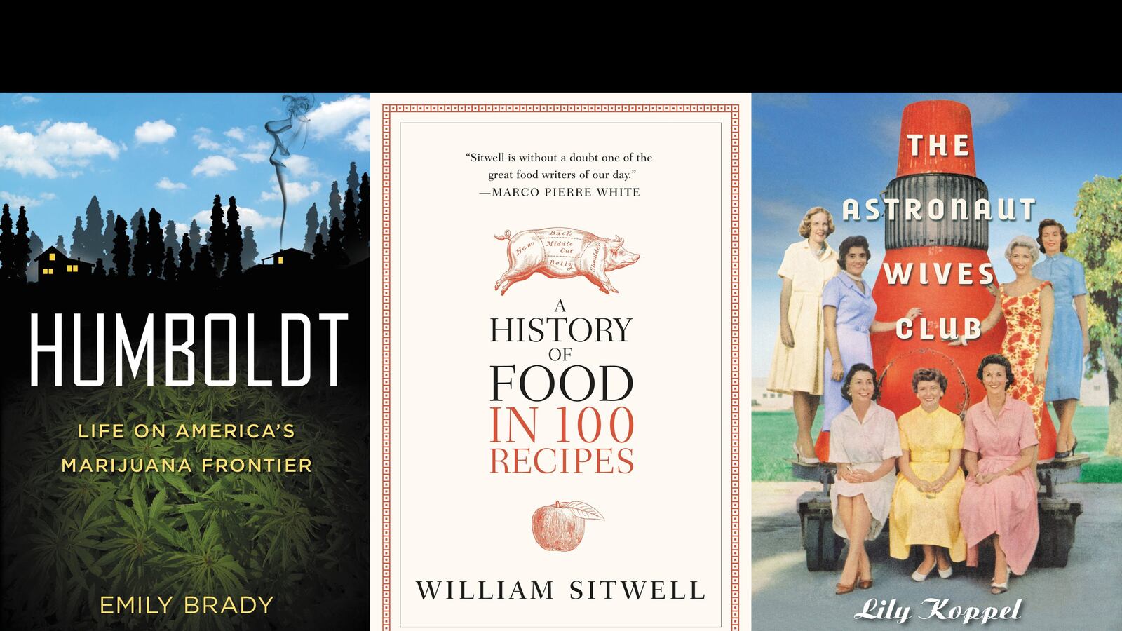 articles/2013/06/24/this-week-s-hot-reads-june-24-2013/130623-hot-reads-tease_zvbbws